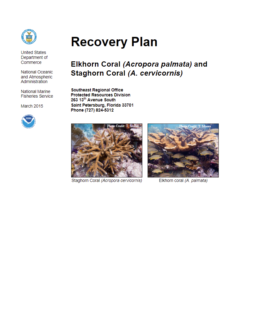 Acropora Recovery Plan pdf cover
